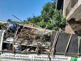 Best Hoarding Cleanup  in Holtville, AL