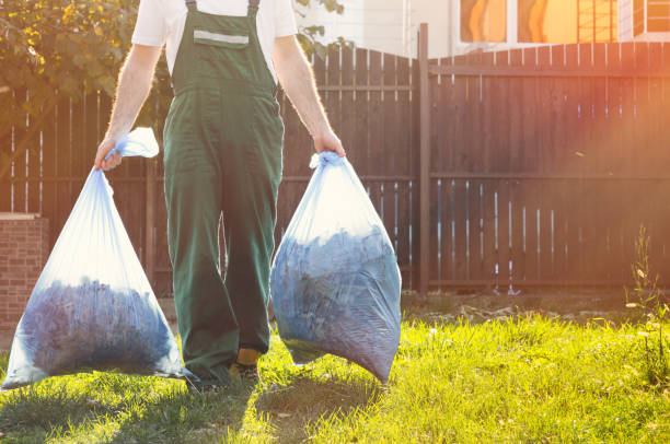 Best Shed Removal  in Holtville, AL